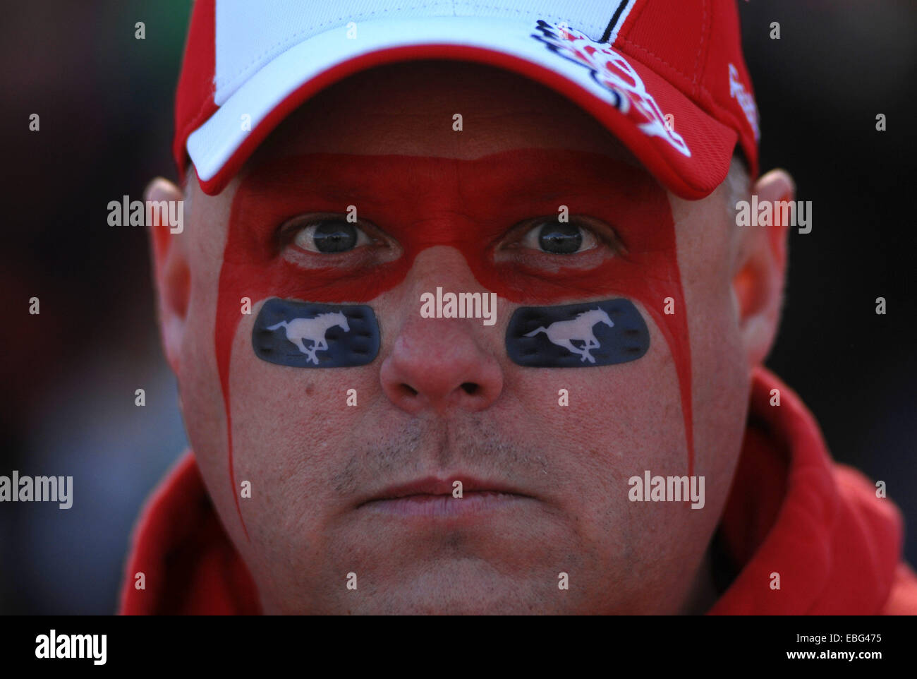 Vancouver, Canada. 30th Nov, 2014. A football fan poses during CFL's 102nd Grey Cup finals in Vancouver, Canada, Nov. 30, 2014. Calgary Stampeders defeated Hamilton Tiger-Cats and captured 102nd Grey Cup. © Sergei Bachlakov/Xinhua/Alamy Live News Stock Photo