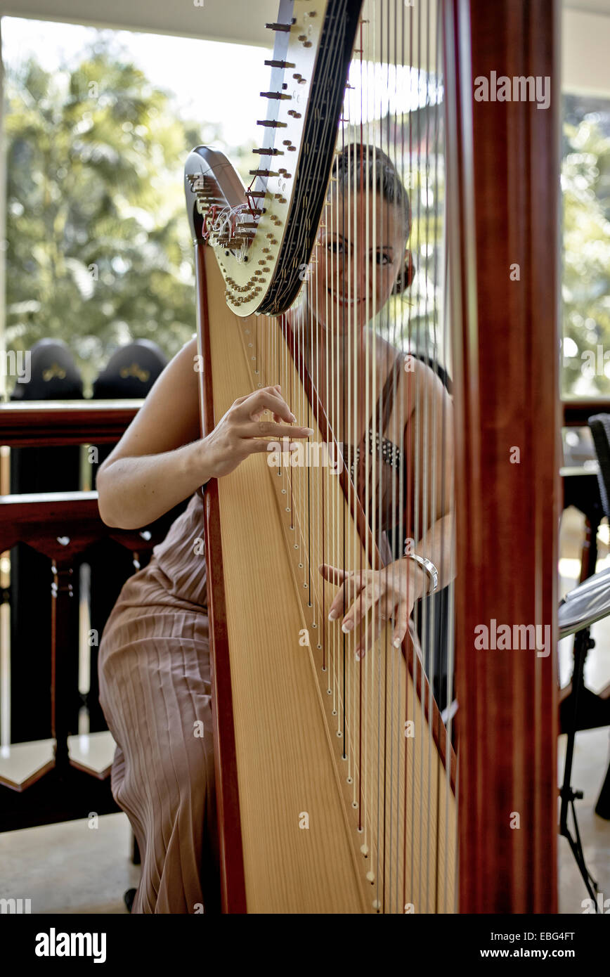 Harpist woman. Italian resident harpist Chiara Capobianco playing at the Centara Hotel Hua Hin Thailand S. E. Asia Stock Photo