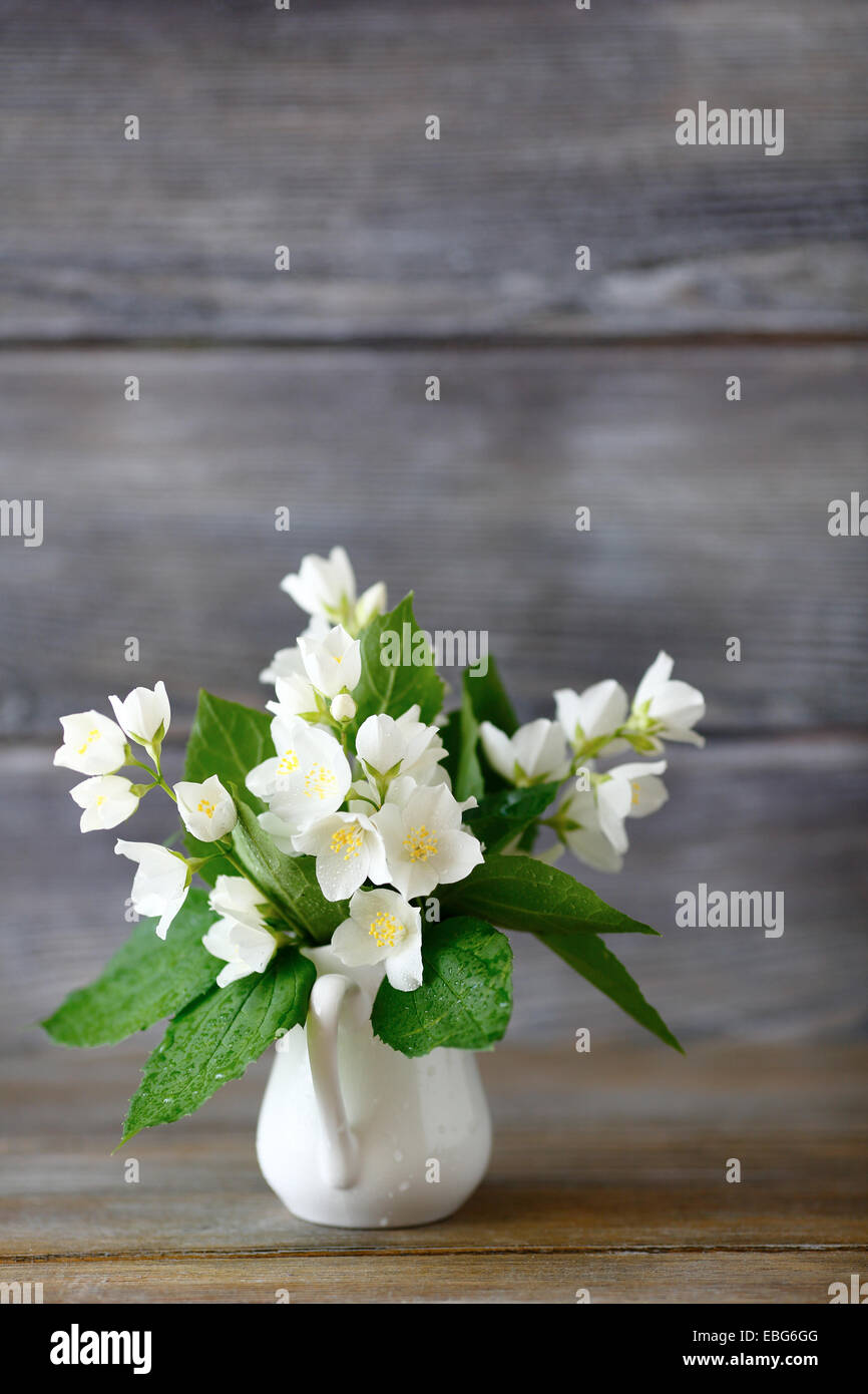 Jasmine in a vase, flowers Stock Photo Alamy
