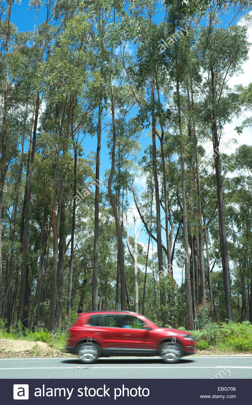 Princes Highway Australia Stock Photos & Princes Highway Australia