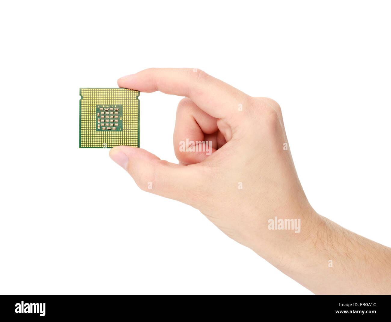 Processor in hand on white background isolate Stock Photo