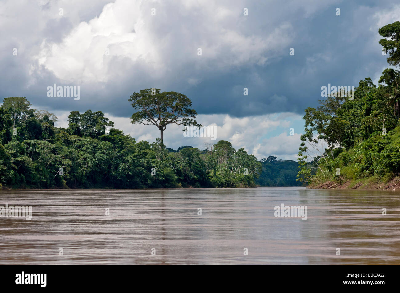Landscape at the Tambopata River, Tambopata Nature Reserve, Madre de Dios Region, Peru Stock Photo