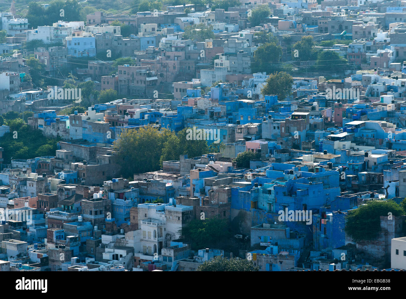 Blue City, roofs of the historic town centre, Jodhpur, Rajasthan, India Stock Photo