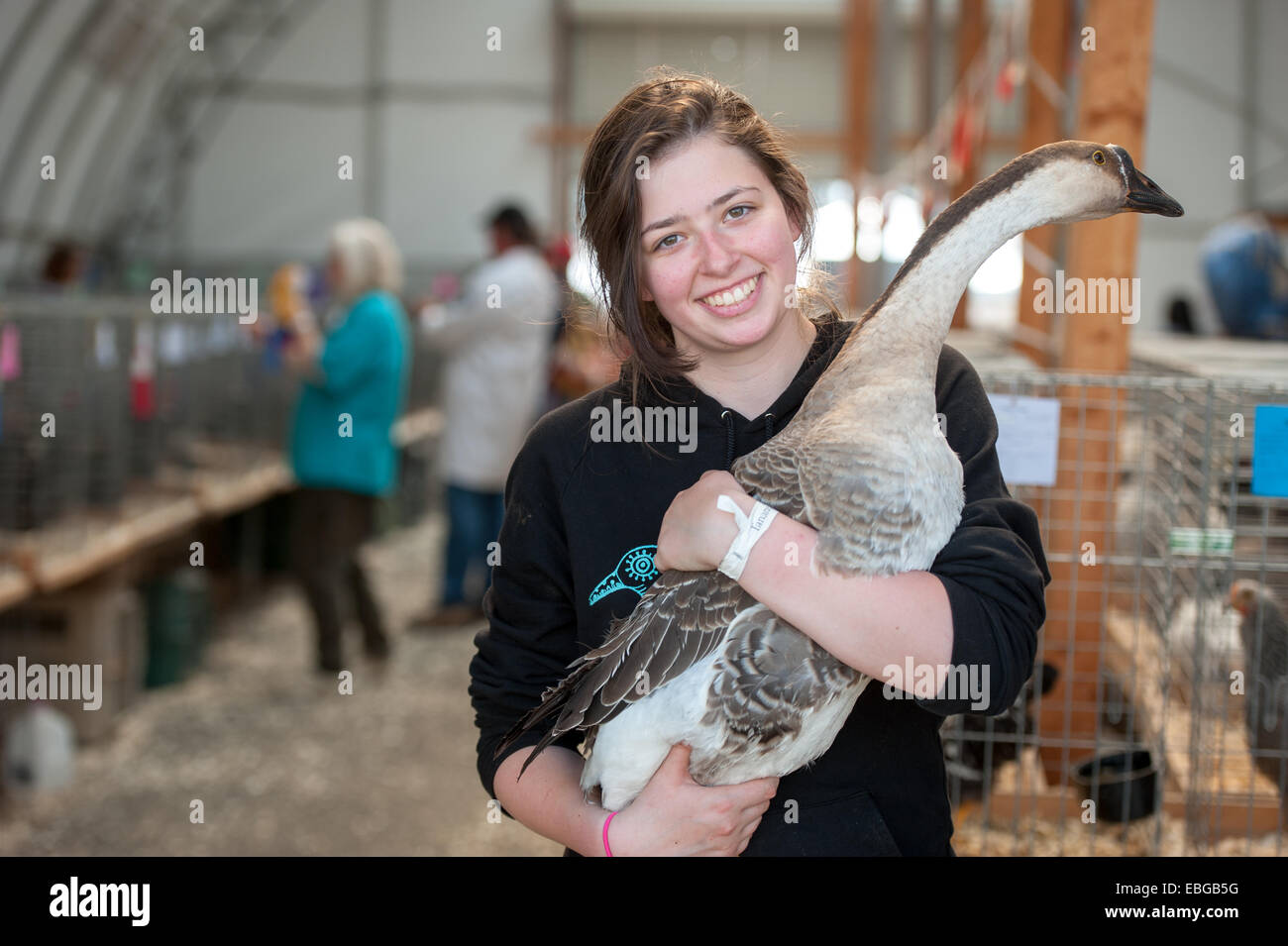 Portrait of girl holding goose (anser) at fair in Alaska Stock Photo