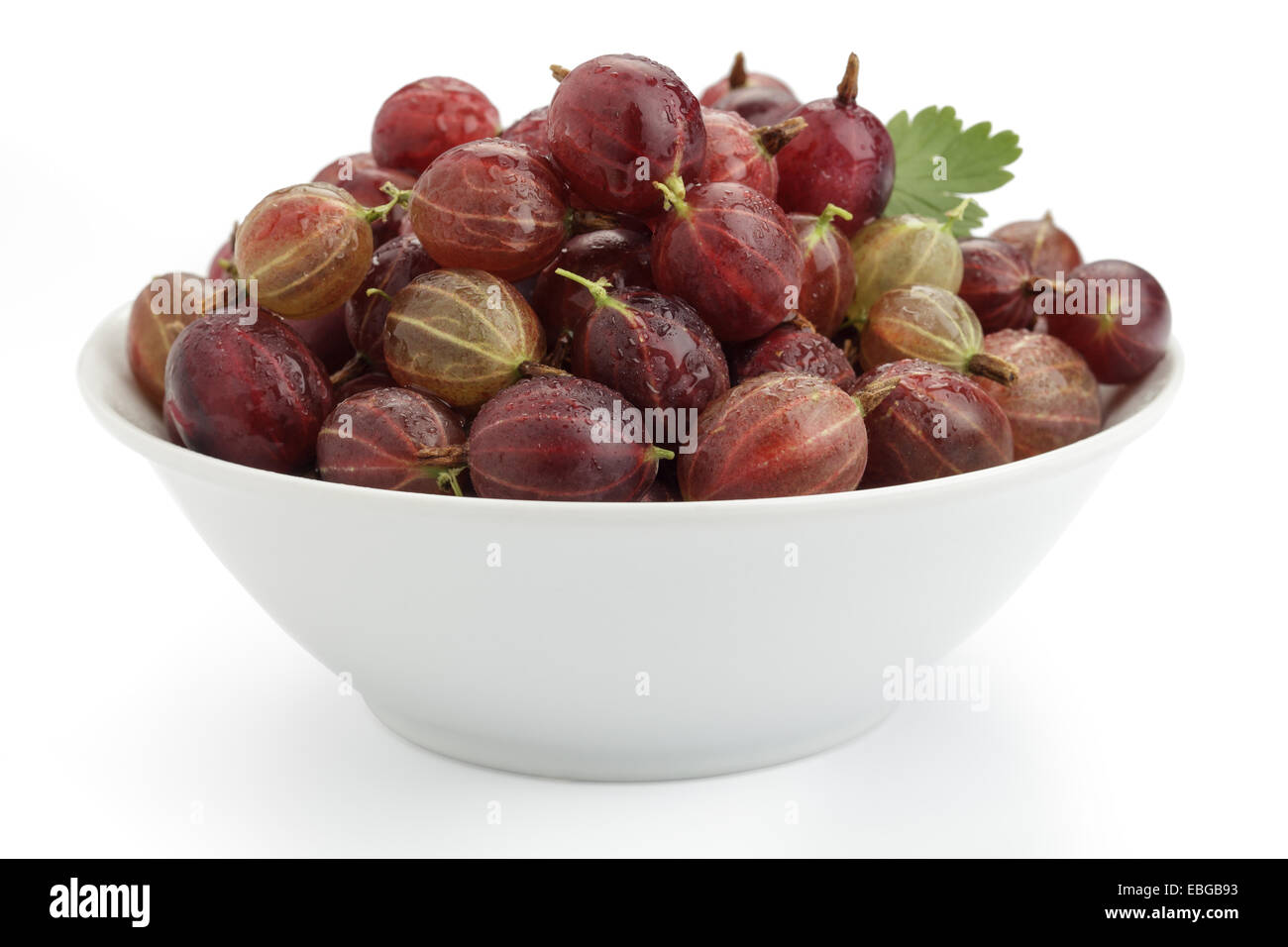 Red gooseberries (Ribes uva-crispa, Ribes grossularia) in a bowl Stock Photo