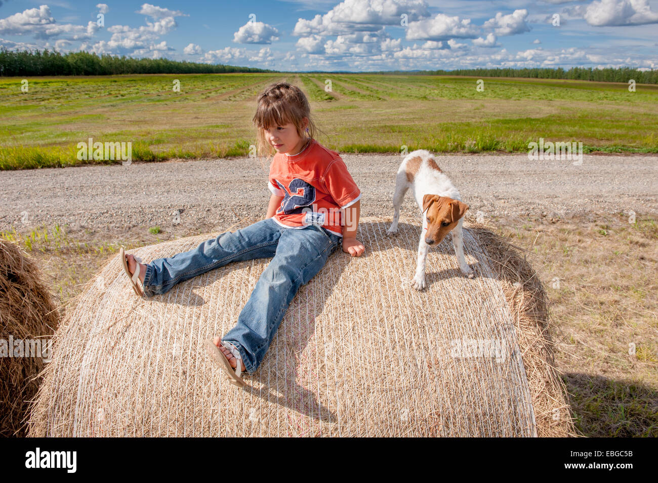 Portrait of a little girl sitting on a bale of hay with her dog Stock Photo