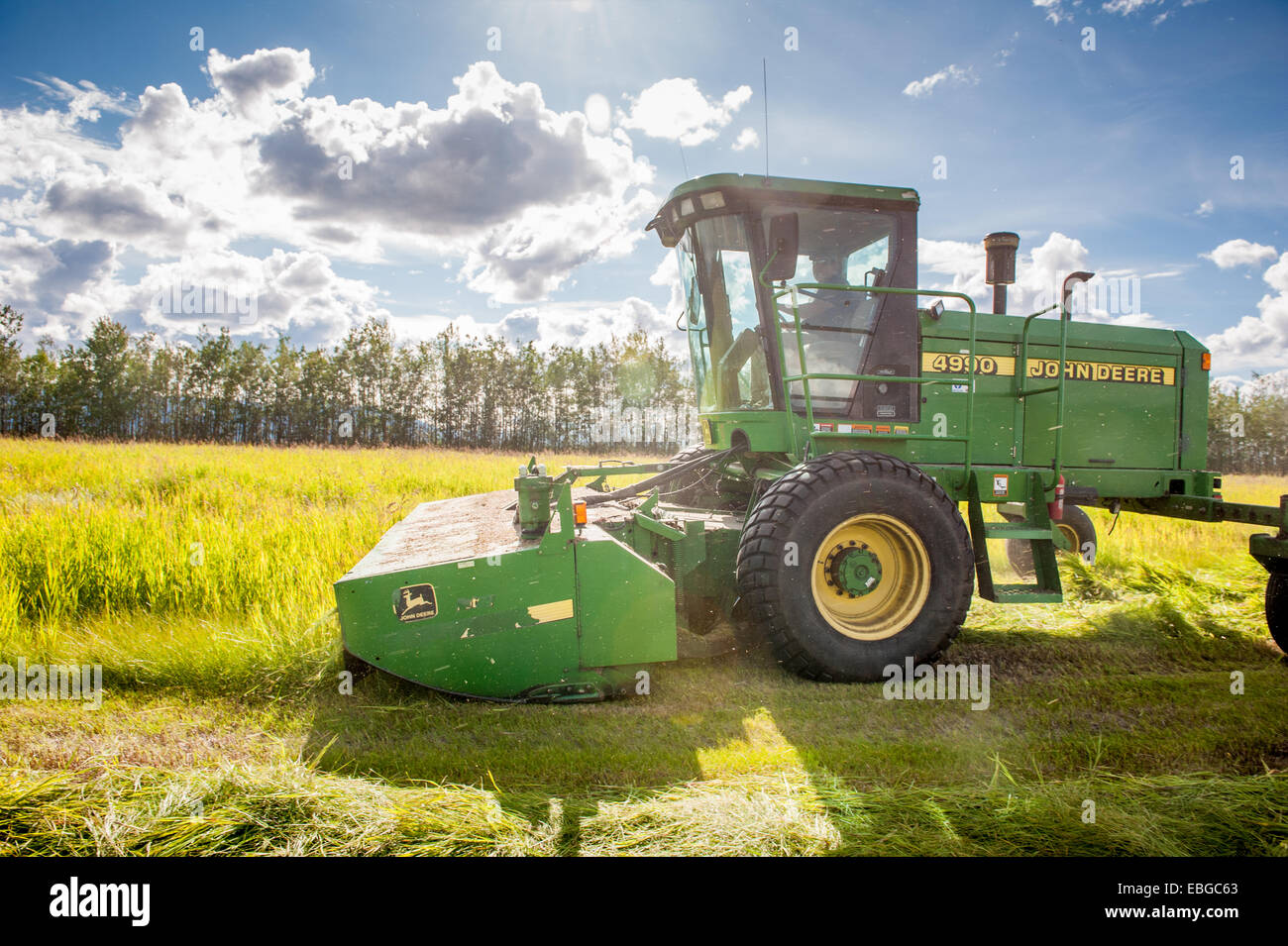 Self propelled disc mower cutting a field of hay (grass Stock Photo Alamy