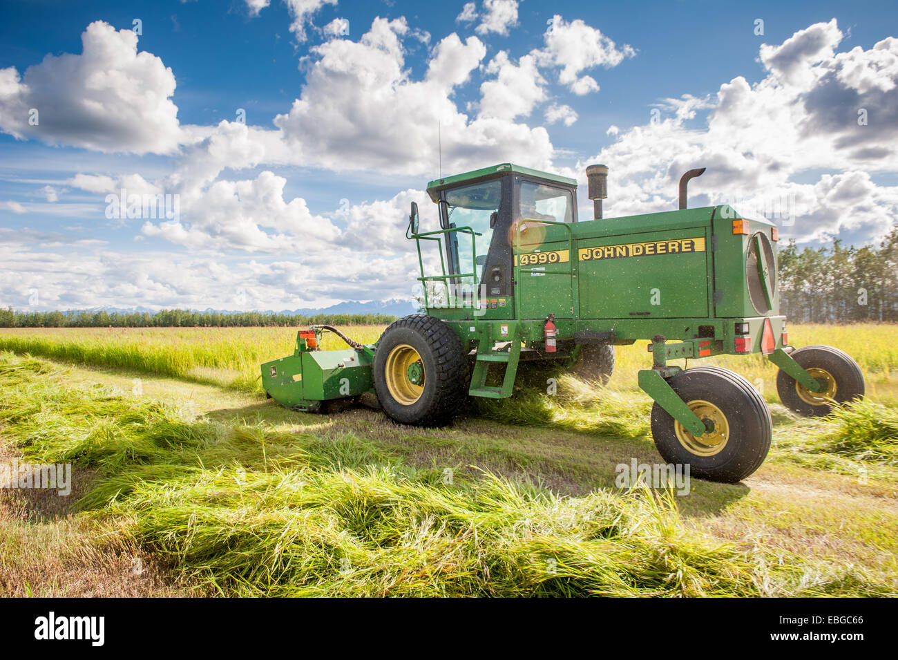 Self propelled disc mower cutting a field of hay (grass Stock Photo Alamy