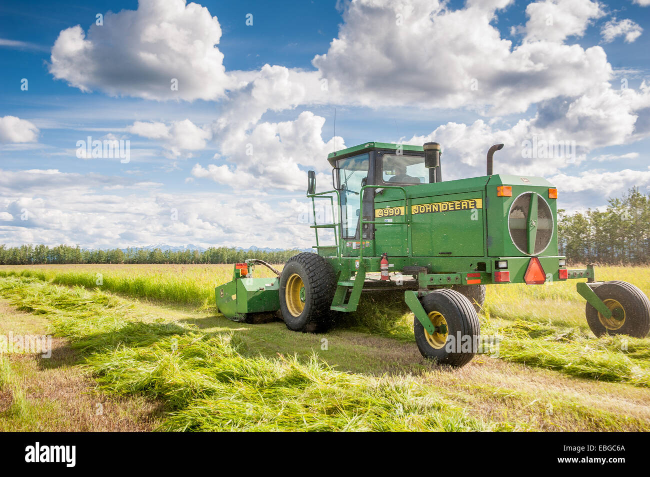 Self propelled disc mower cutting a field of hay (grass Stock Photo