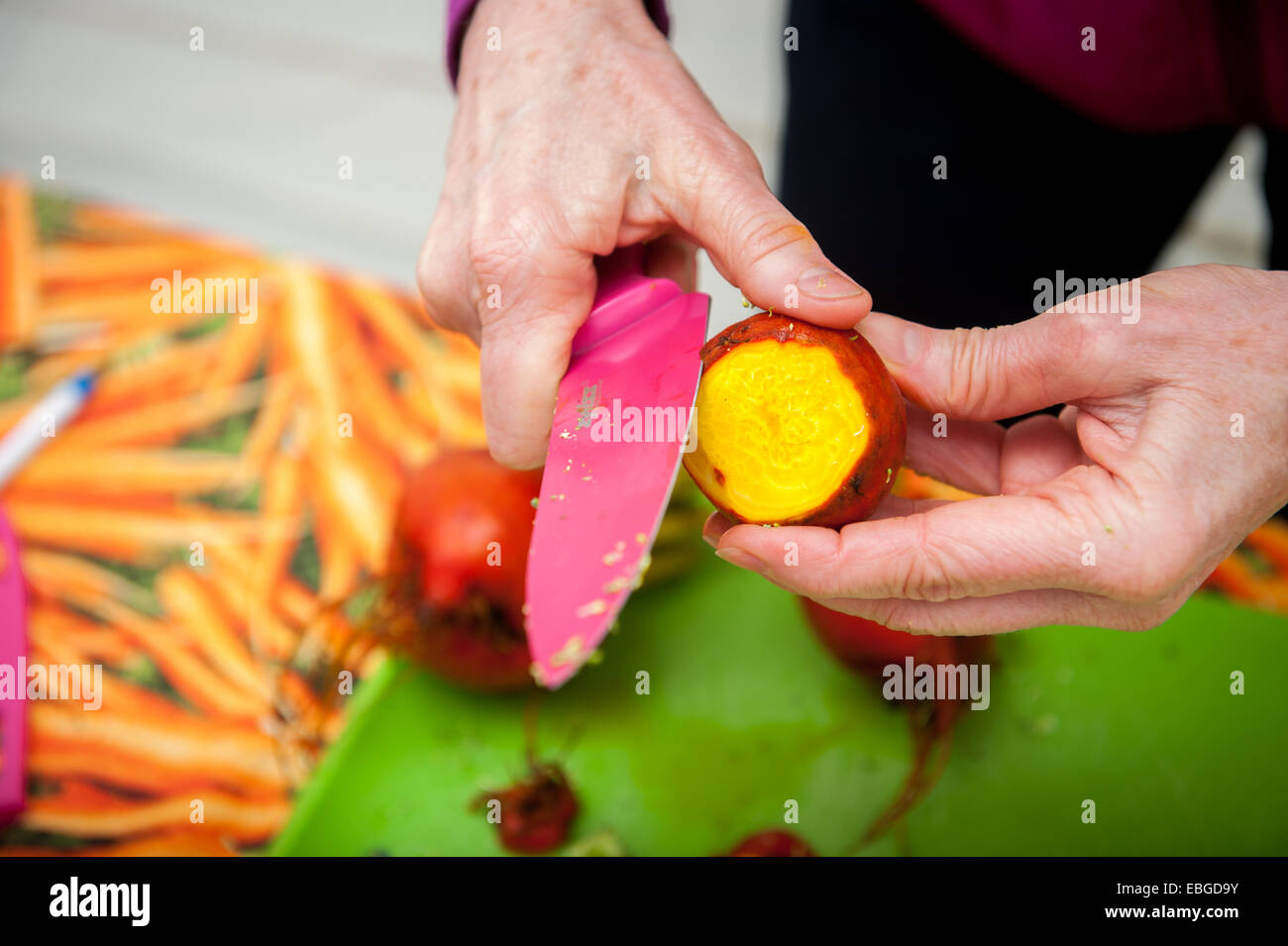 Cutting into a fresh turnip (Brassica rapa rapa) Stock Photo