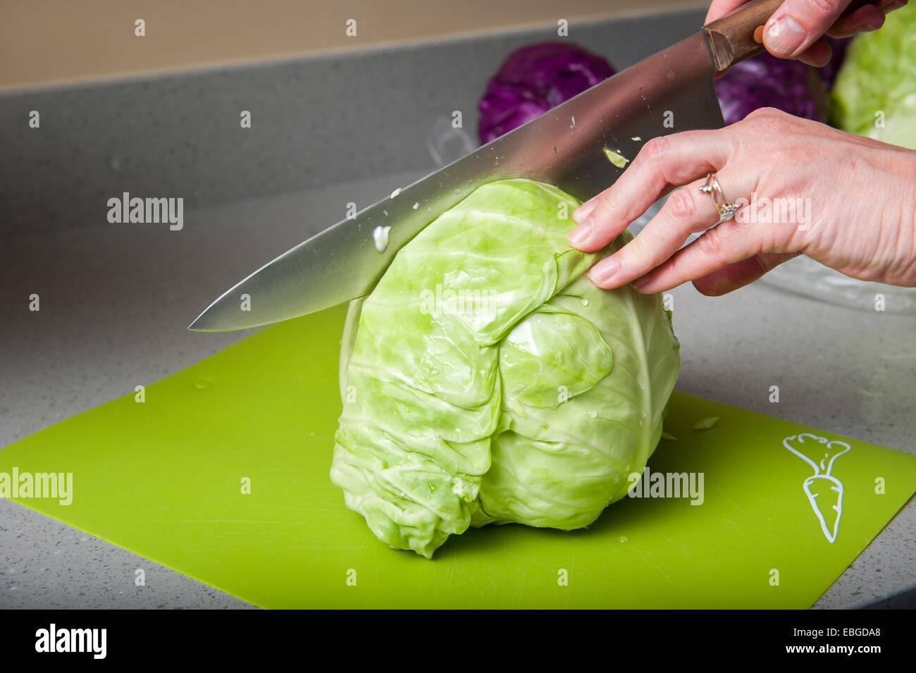 Chopping a head of cabbage (Brassica oleracea) Stock Photo