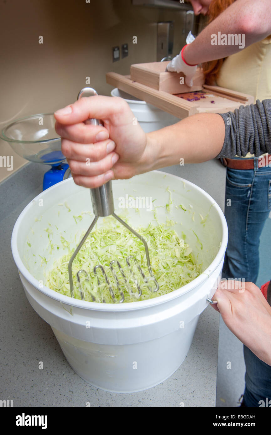 Sauerkraut Making process Stock Photo