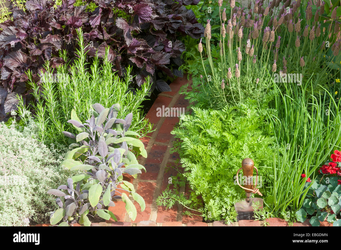 Hampton Court flower show herb garden with path Stock Photo