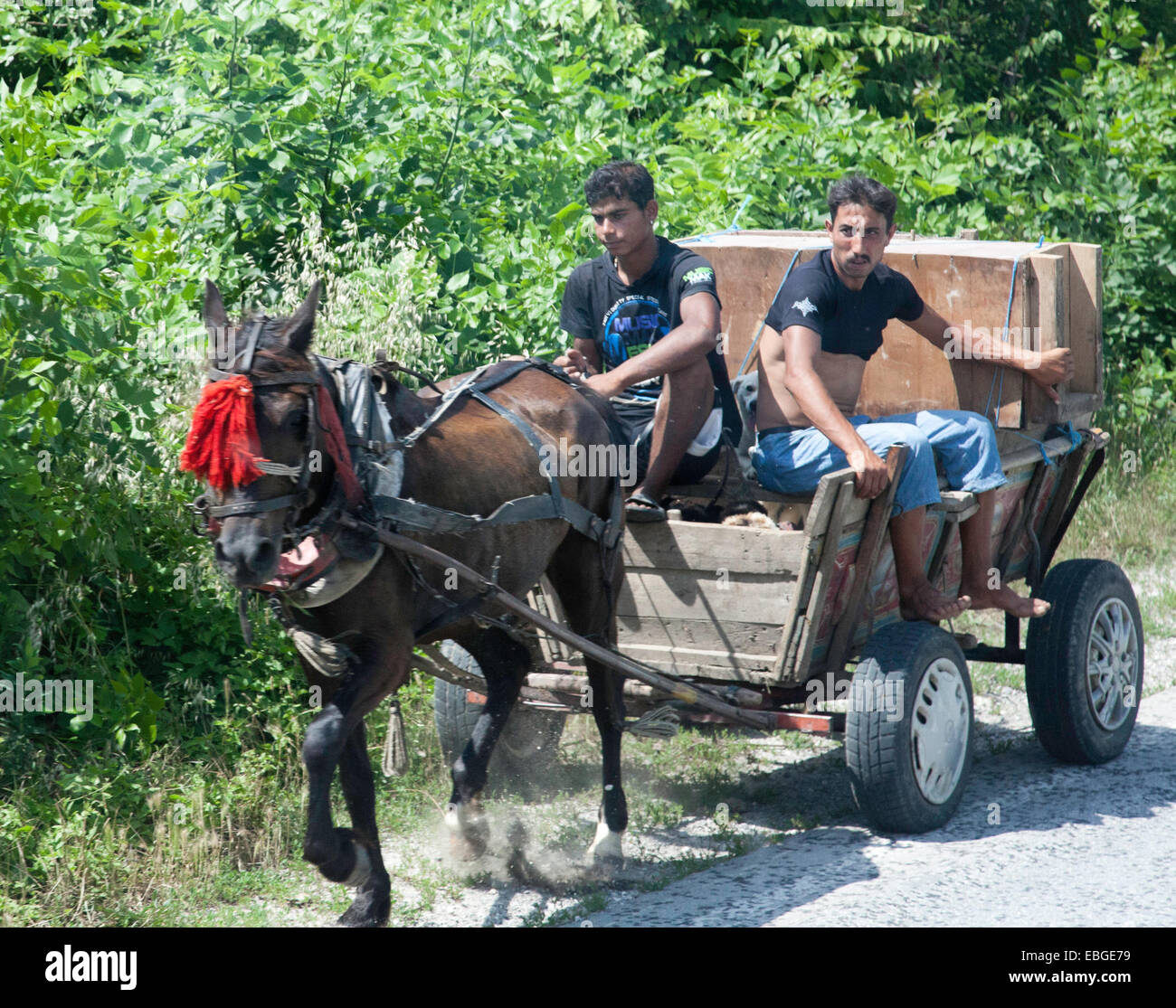 TRANSPORT BY HORSE AND CART IN RURAL VELIKO TARNOVO BULGARIA Stock