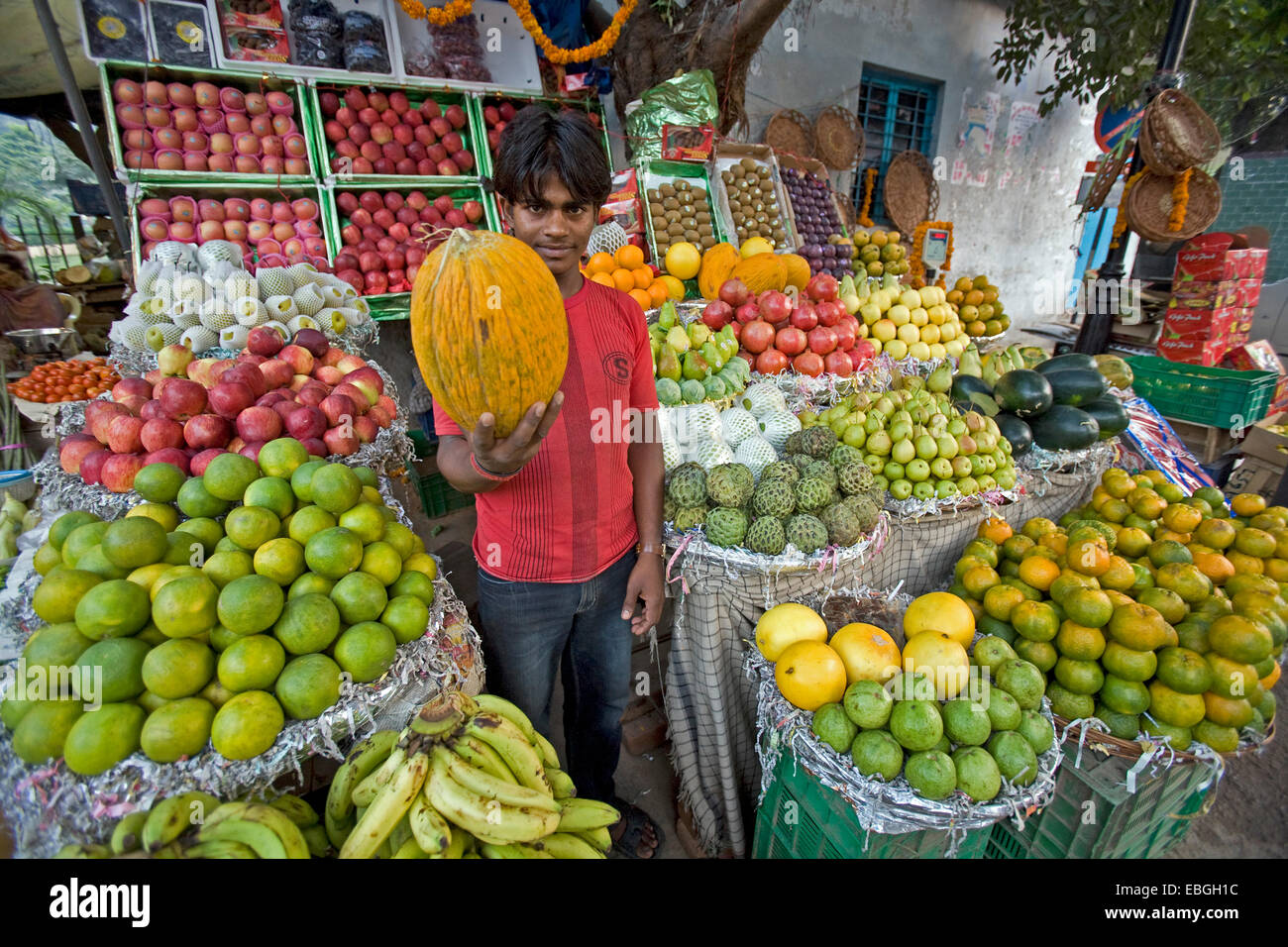 Vendor showing fruit, Delhi, India Stock Photo Alamy