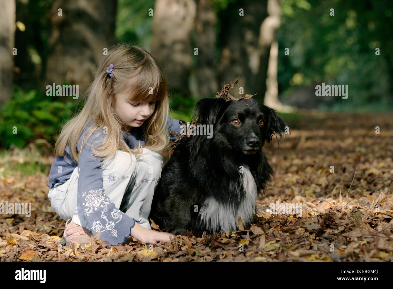 little girl with dog in autumn wood Stock Photo - Alamy