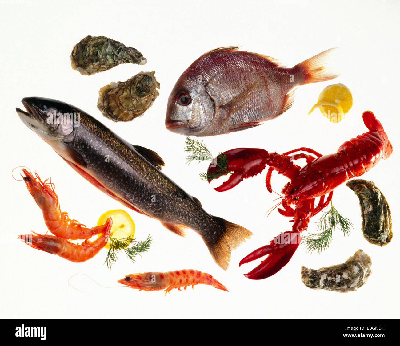 Seafood horizontal hi-res stock photography and images - Alamy