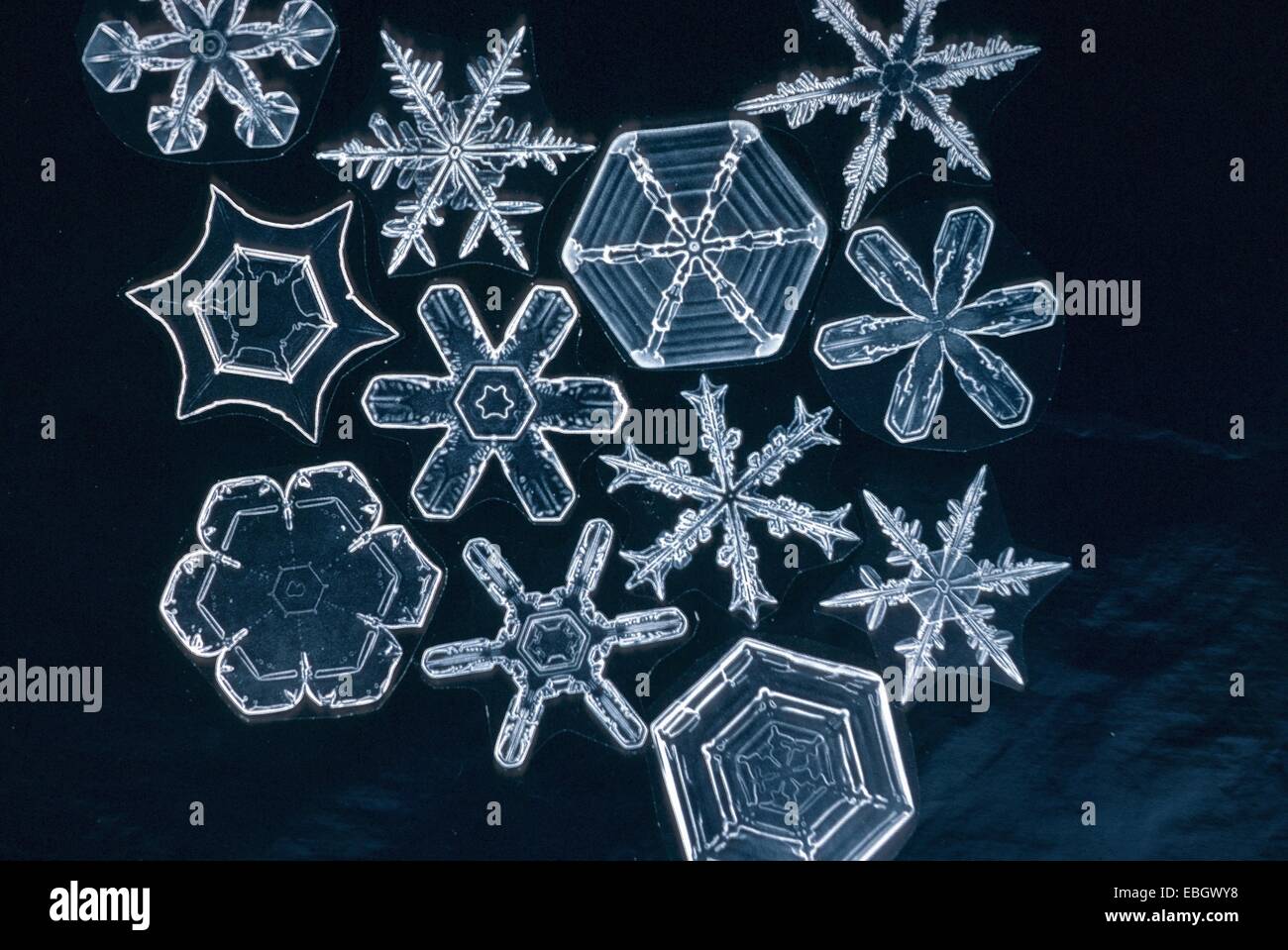 crystal of snow, ice crystal, microscopic photograph Stock Photo