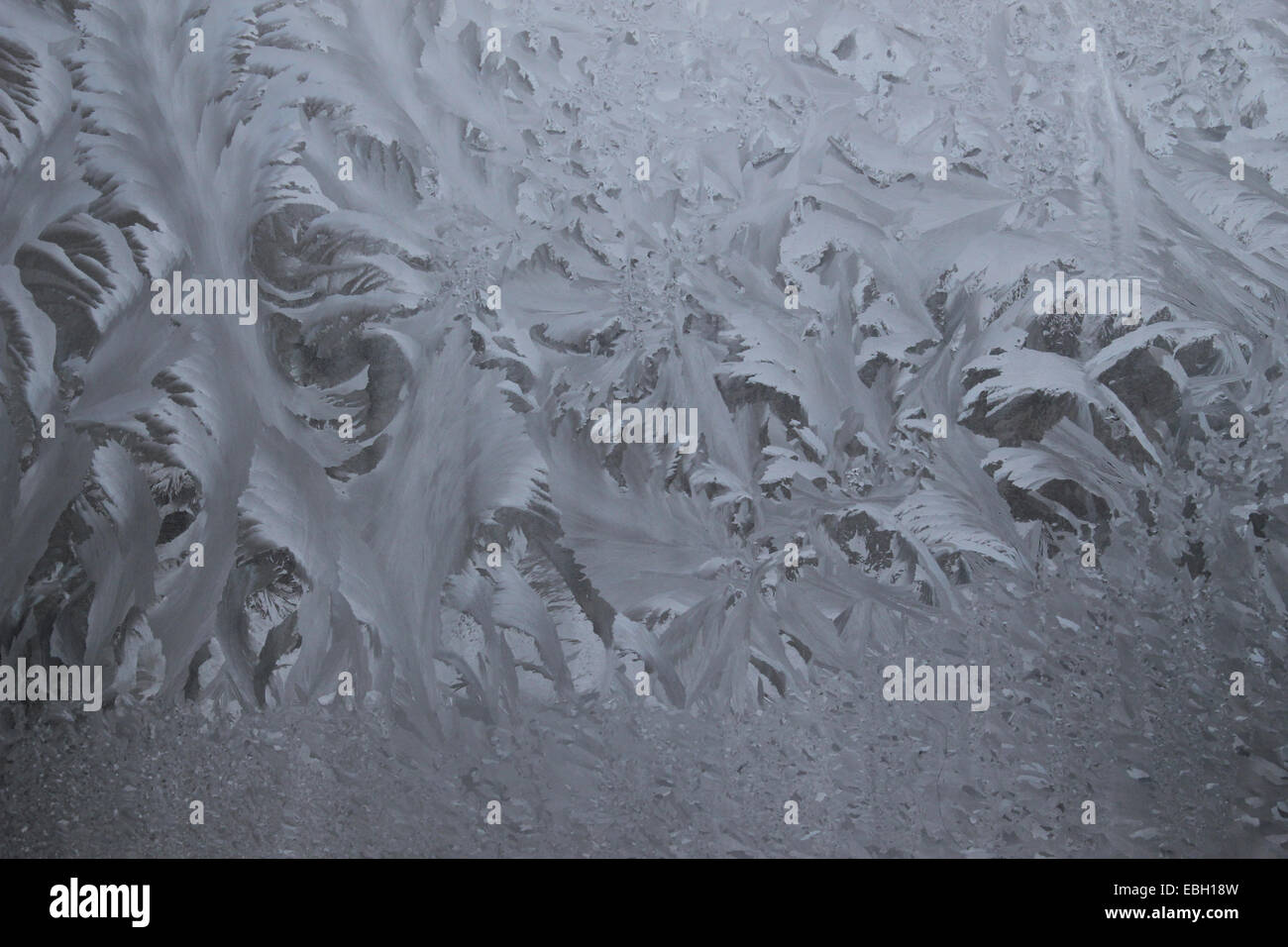 Frozen condensation inside of a glass storm door Stock Photo Alamy