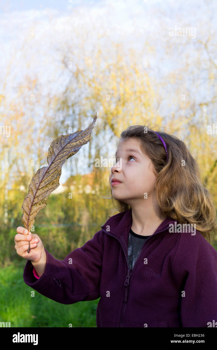 Young child holding a big Autumn Fall leaf in the park. Stock Photo