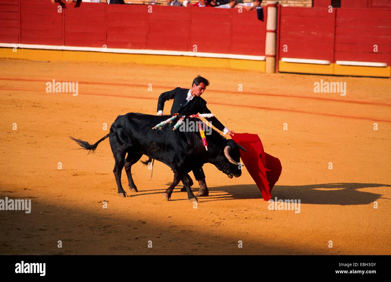 corrida, torero with capote, Spain, Andalusia, Cordoba, BLWS010656.jpg. Stock Photo