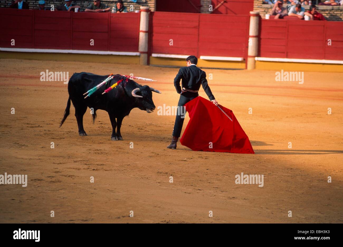 Superficial Curiosidad Noticias de última hora corrida, torero with capote, Spain, Andalusia, Cordoba, BLWS010654.jpg  Stock Photo - Alamy