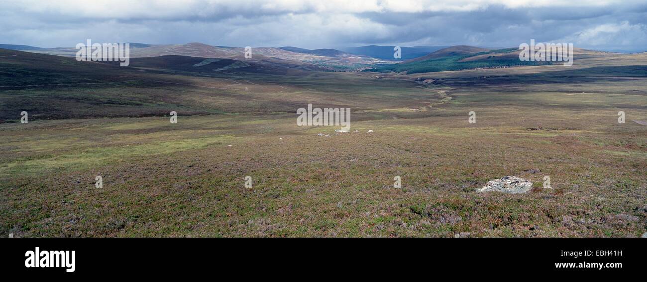 moor in the Monadhilath Hills, Scotland, Cairngorms NP. Stock Photo