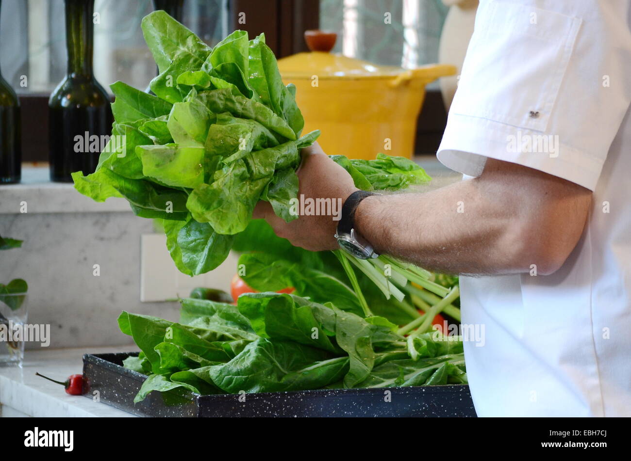 A cook's hand grabbing fresh chard leaves Stock Photo
