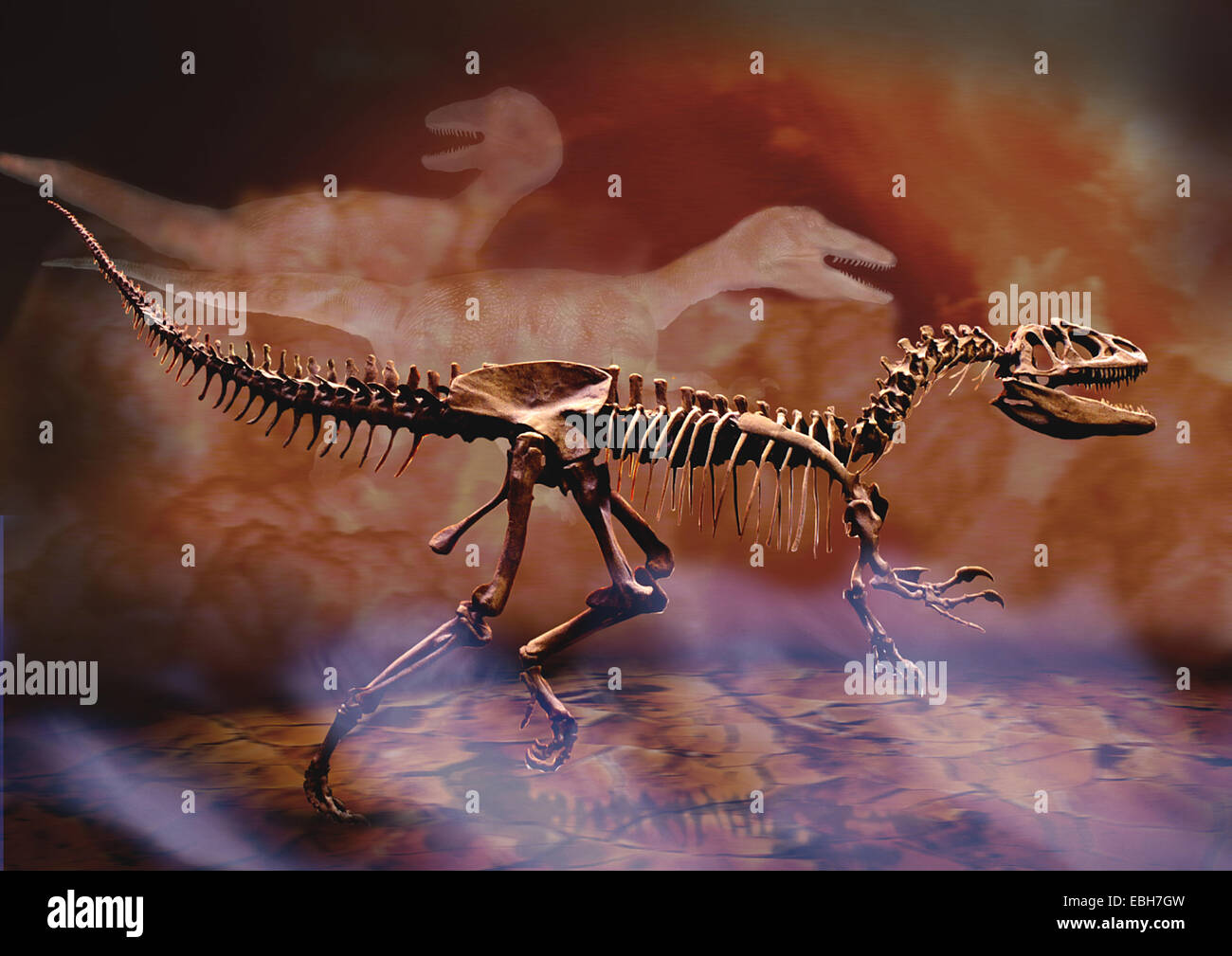 Raptor dinosaur hi-res stock photography and images - Alamy