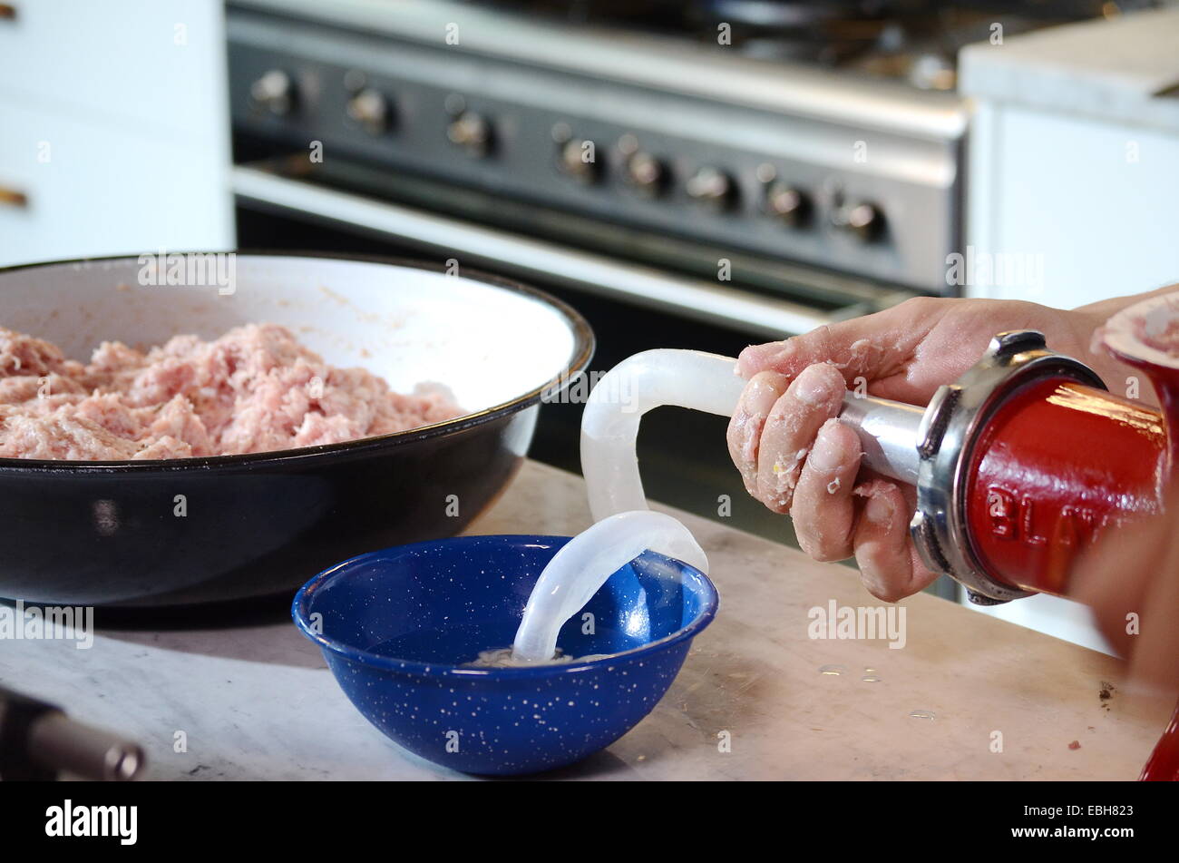 chef's hands using meat grinder to fill the casing to make a pork sausage Stock Photo