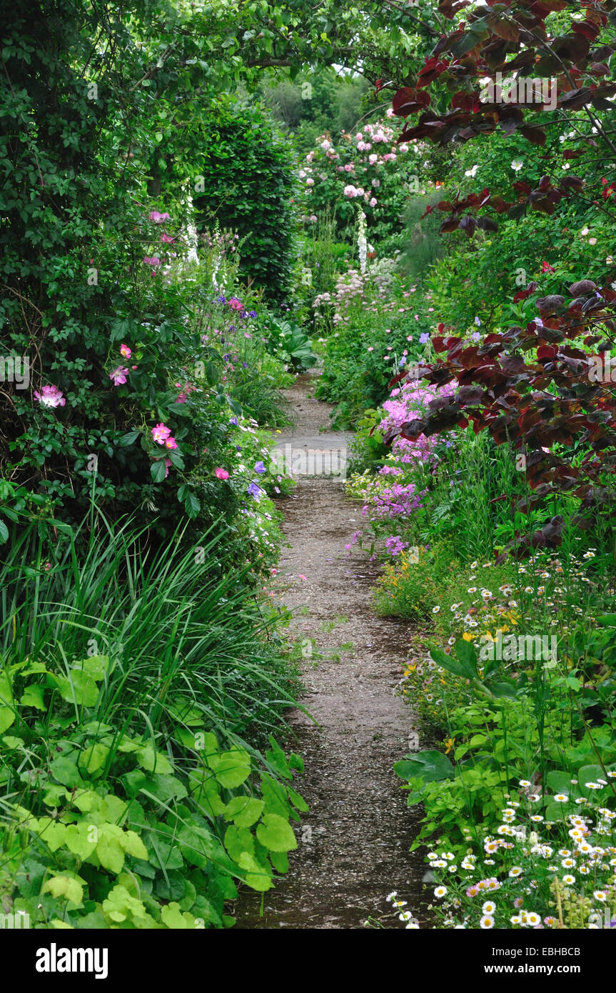 A garden path through herbaceous plants and flowers UK Stock Photo