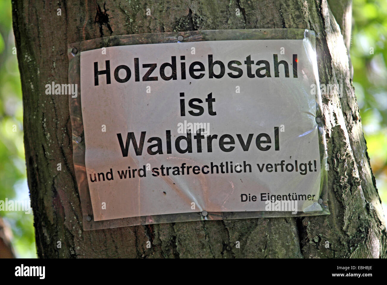 sign against timber theft at a tree trunk, Germany Stock Photo