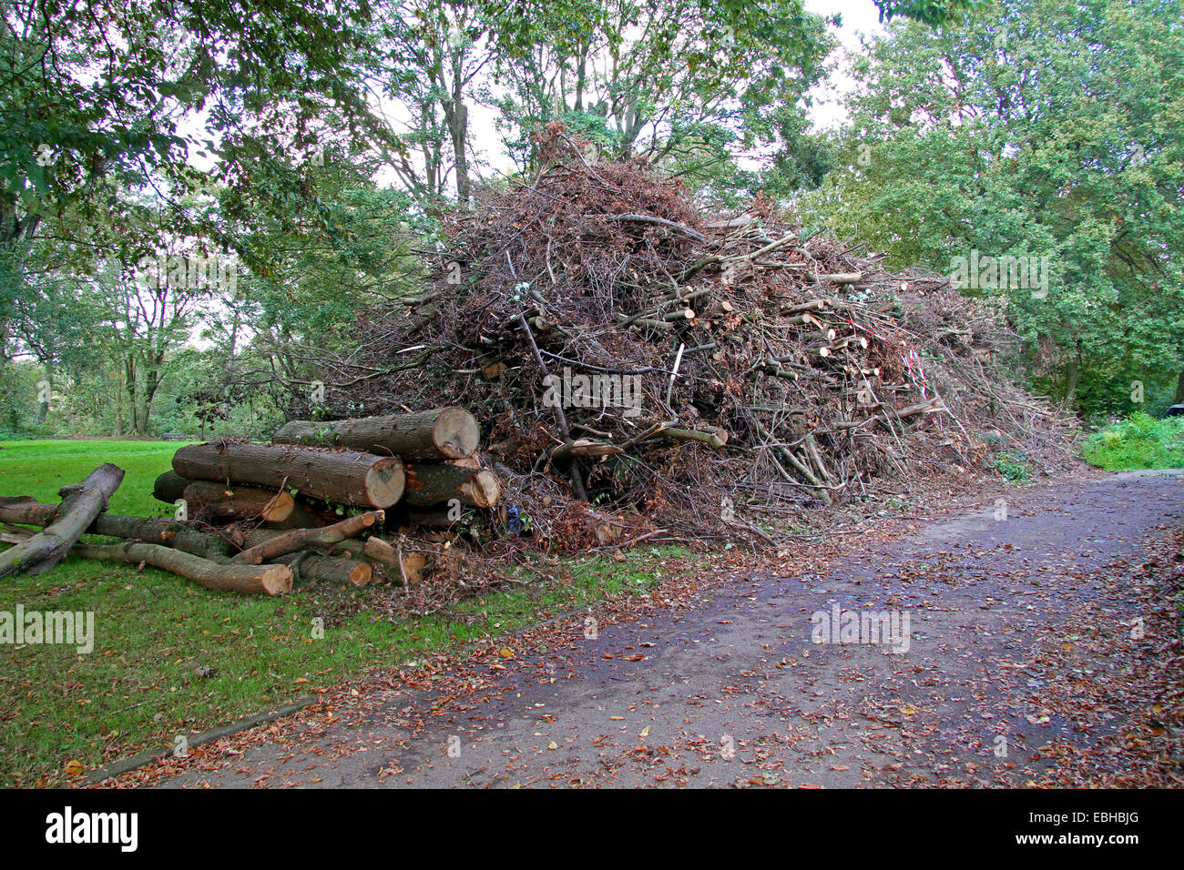 piled up branches and twigs after storm Ela, Germany Stock Photo