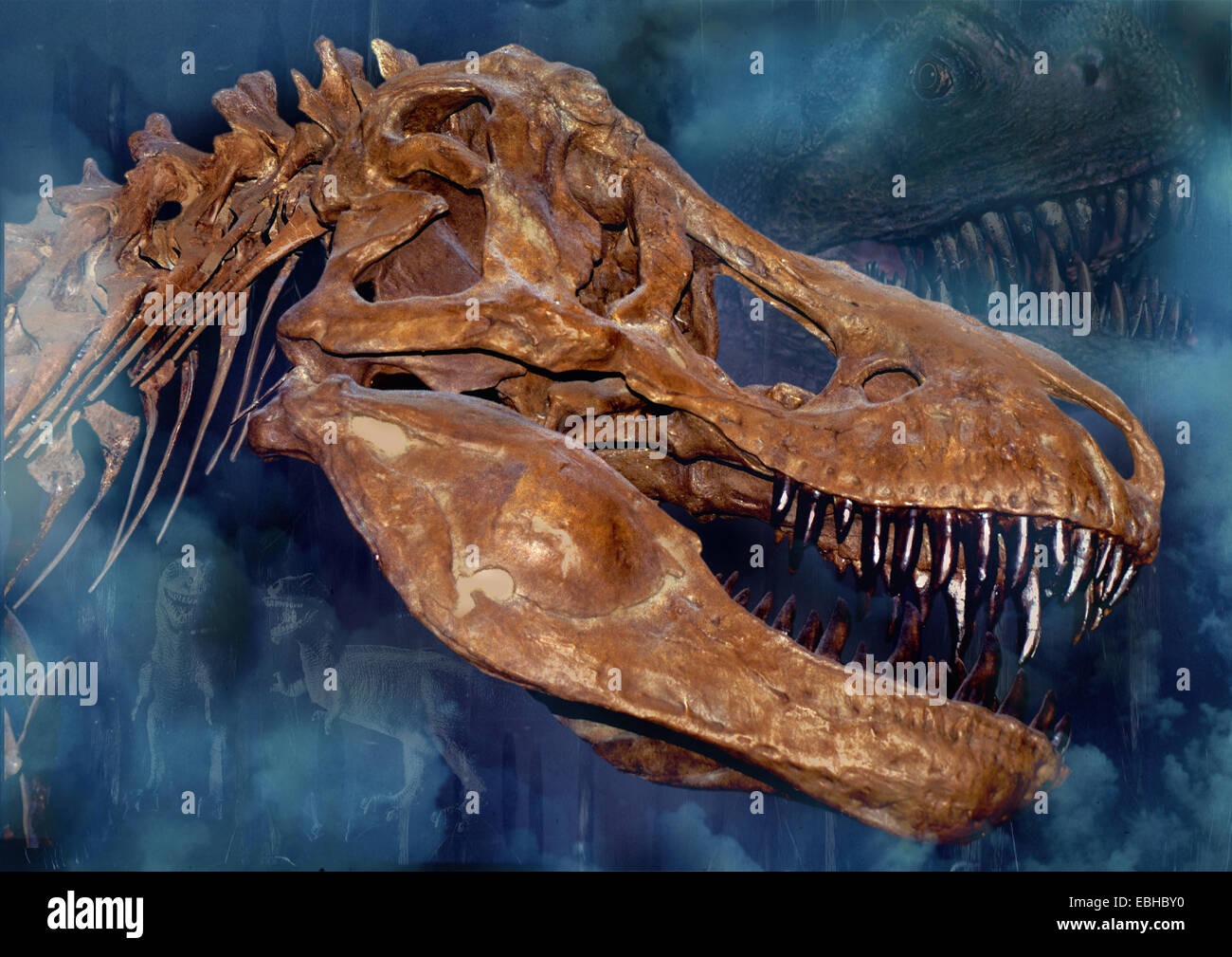 Dinosaurier High Resolution Stock Photography and Images - Alamy