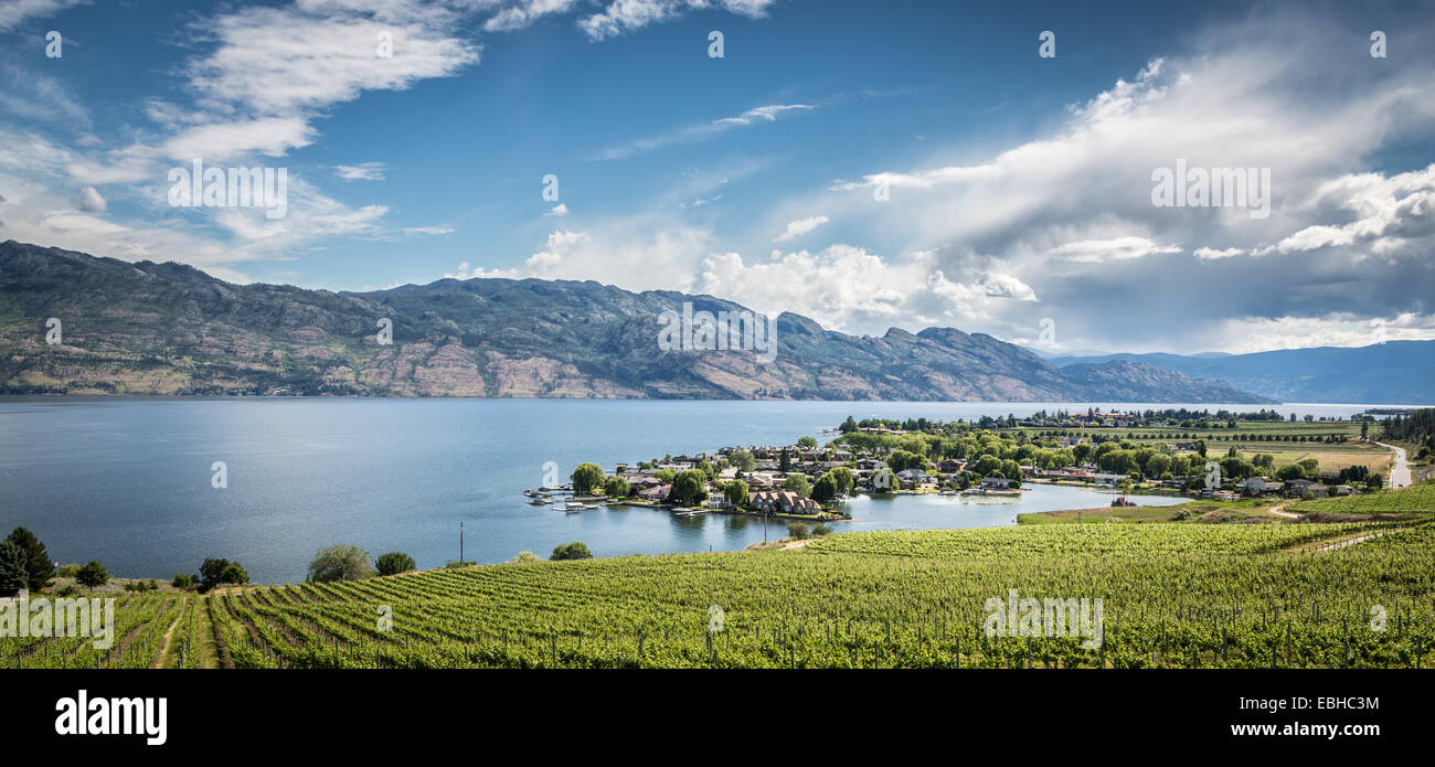 Quails' Gate Winery, Kelowna, Okanagan Lake, British Columbia, Canada, North America. Stock Photo