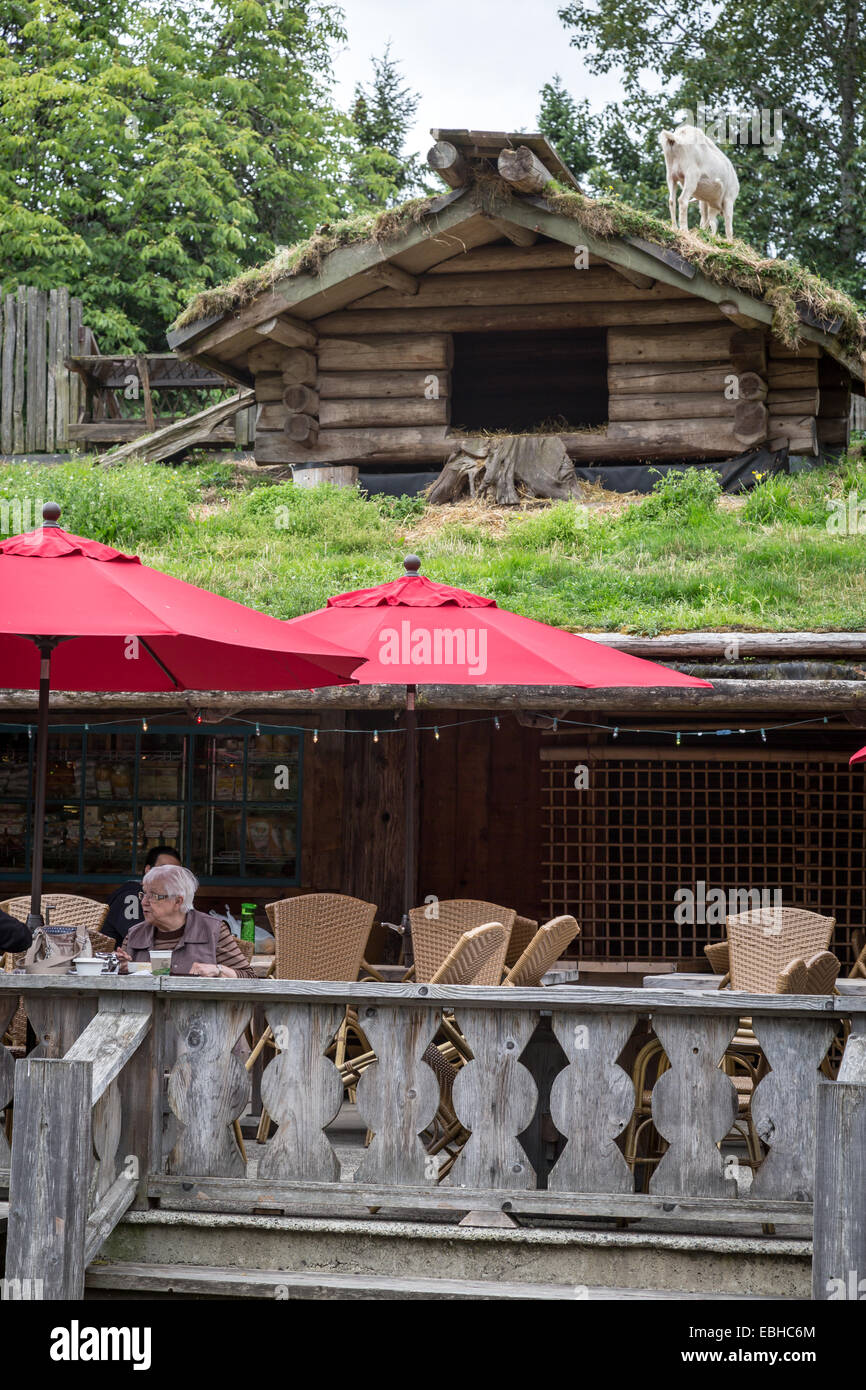 Coombs Country Market, with goats on the roof, Coombs, Vancouver Island, British Columbia, Canada, North America. Stock Photo