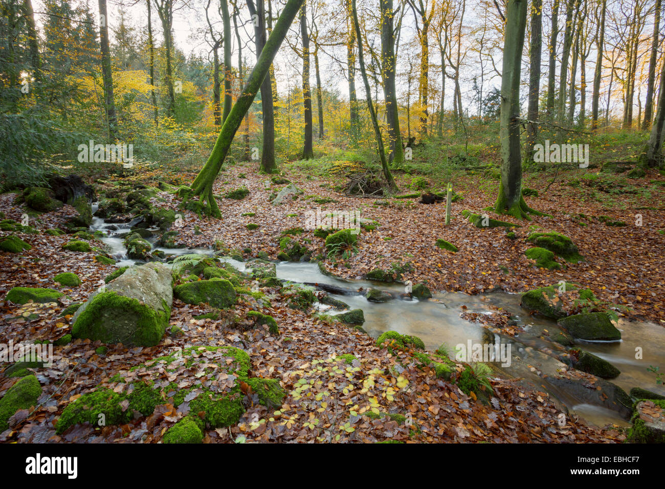 Stream flowing in valley hi-res stock photography and images - Alamy