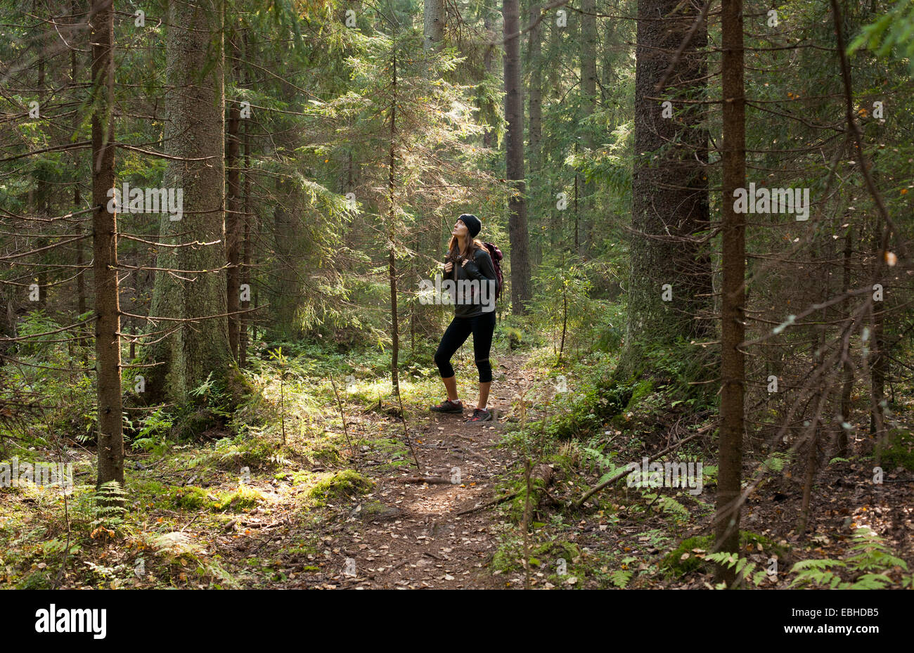 Woman trekking through forest, Helsinki, Finland Stock Photo