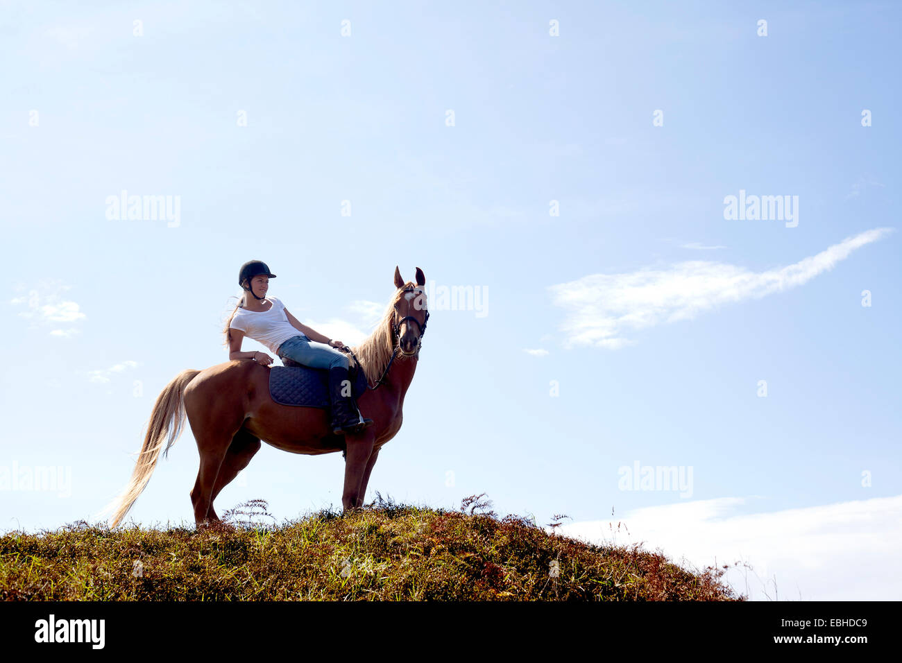 Horse rider on hilltop, Pakiri Beach, Auckland, New Zealand Stock Photo