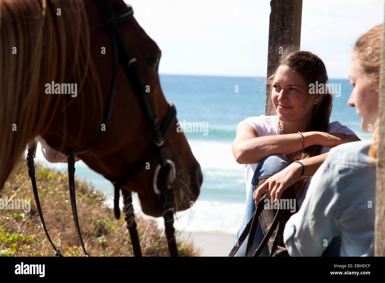 Horse riders taking break, Pakiri Beach, Auckland, New Zealand Stock Photo