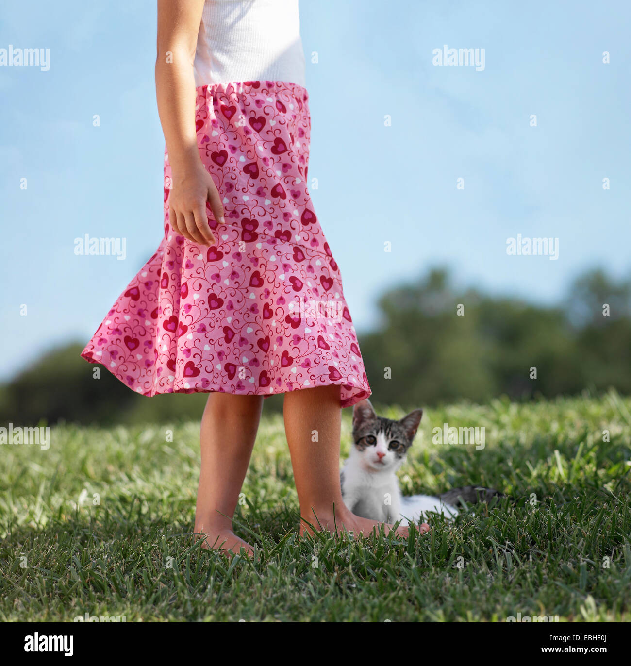 Grass skirt hi-res stock photography and images - Alamy