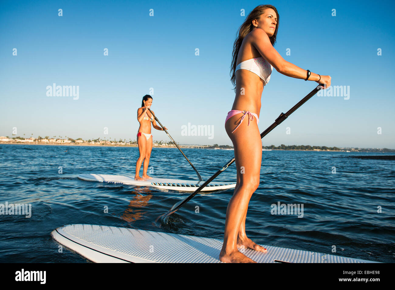 Two women stand up paddleboarding, Mission Bay, San Diego, California, USA Stock Photo