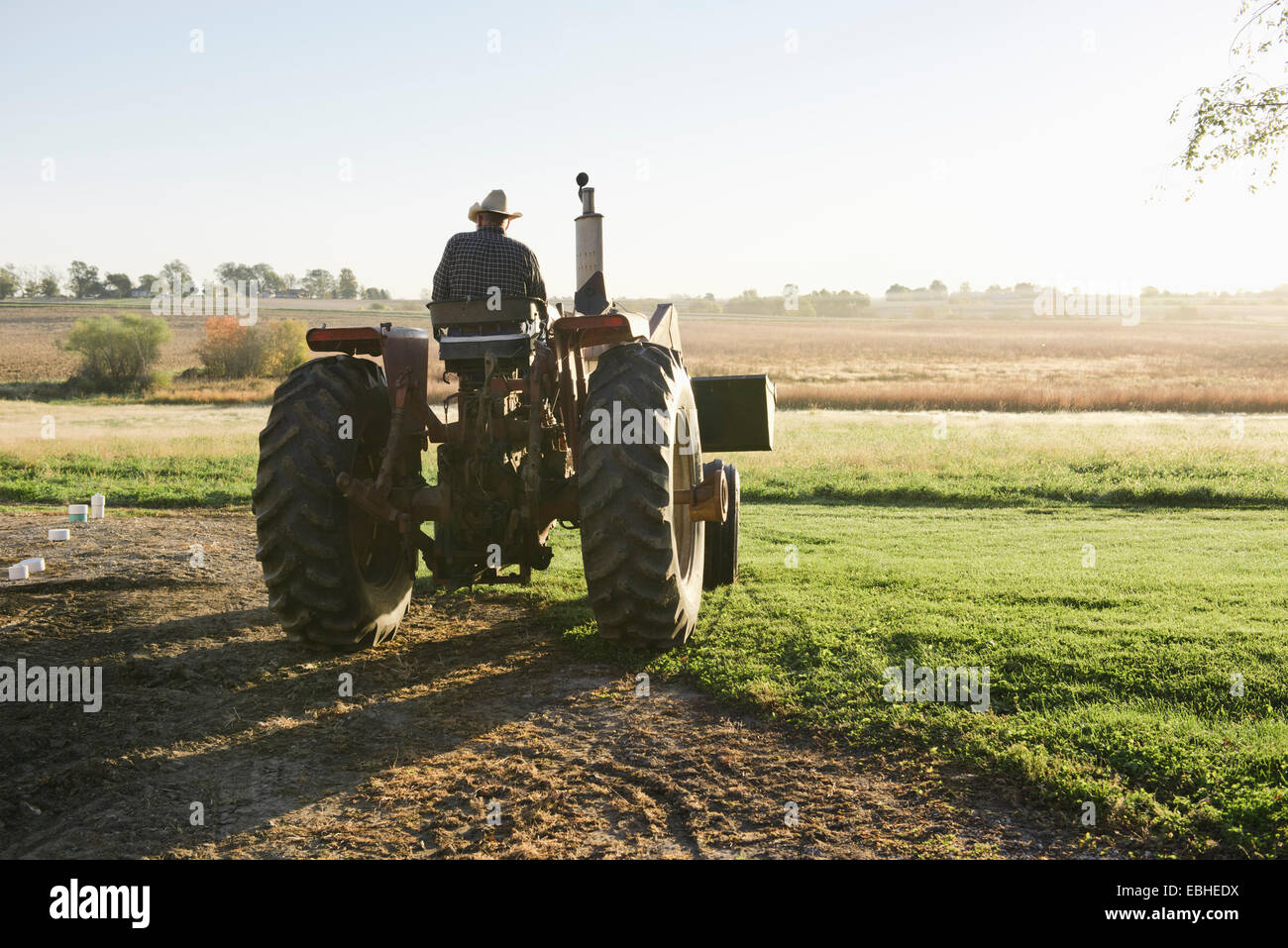 Rear view of senior male farmer driving tractor in field, Plattsburg, Missouri, USA Stock Photo