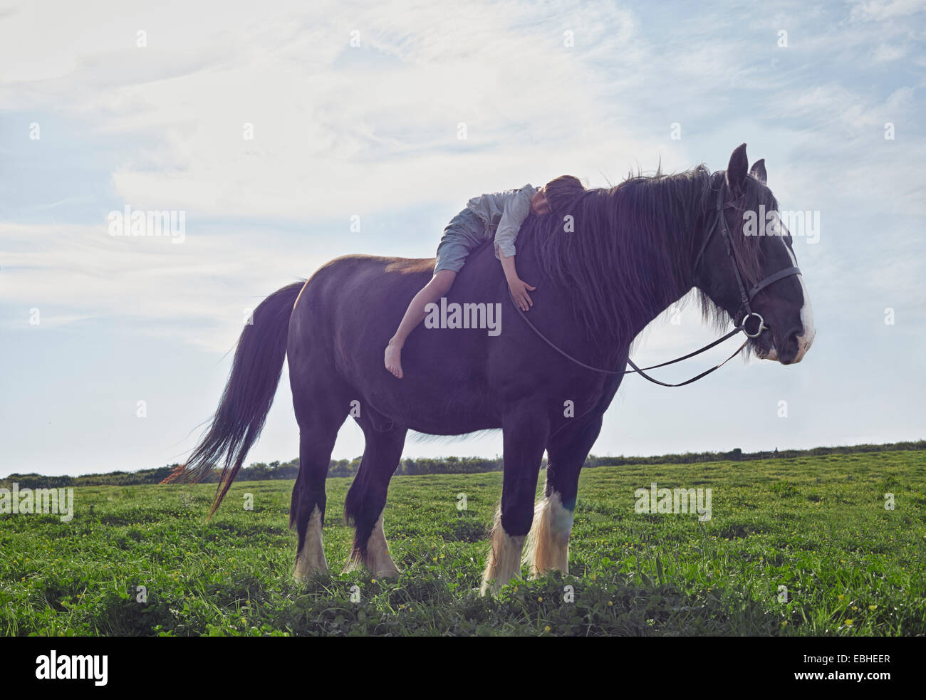 Boy hugging horse, Rosudgen, Cornwall, United Kingdom Stock Photo
