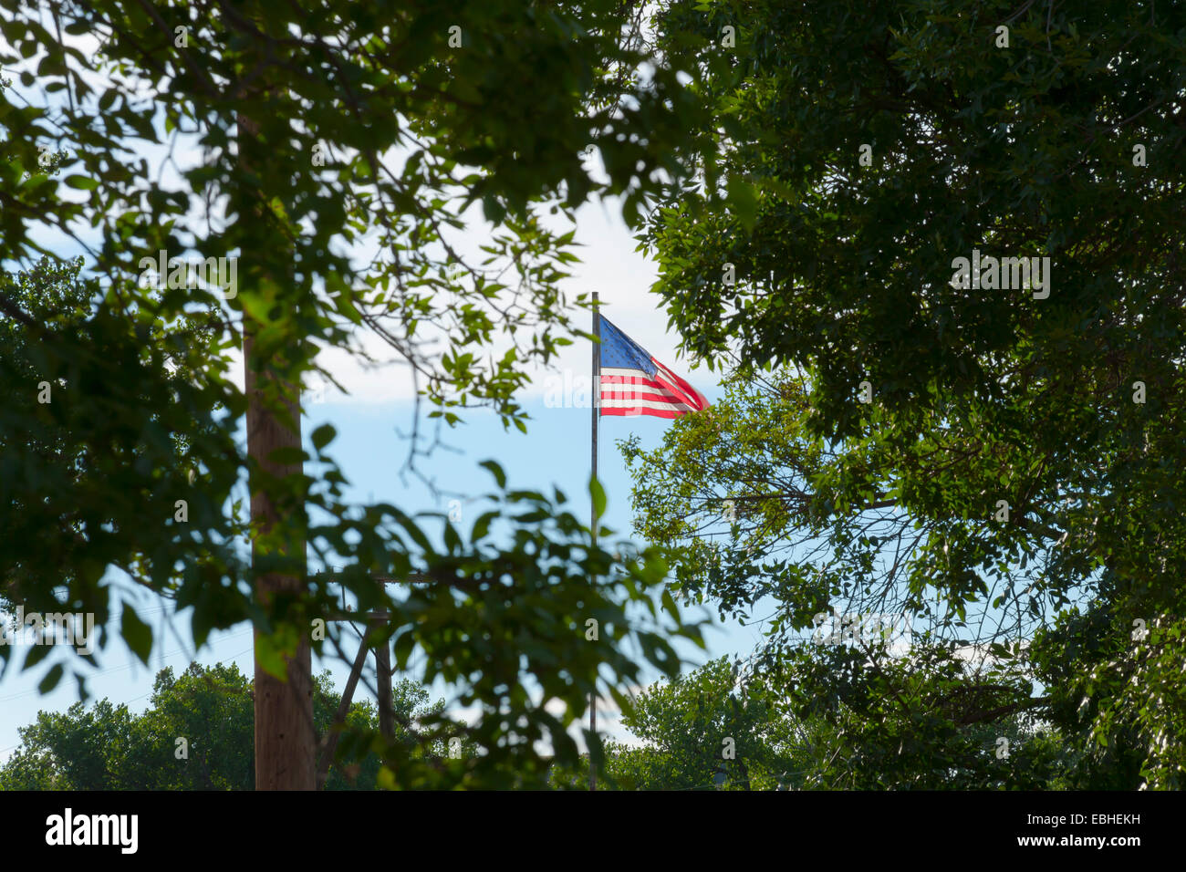 American flag, seen through trees Stock Photo