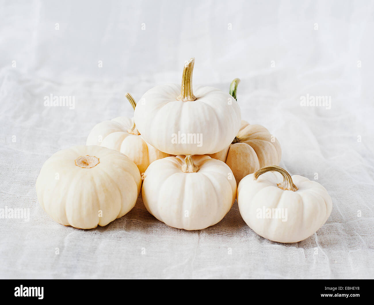 Small white pumpkins Stock Photo
