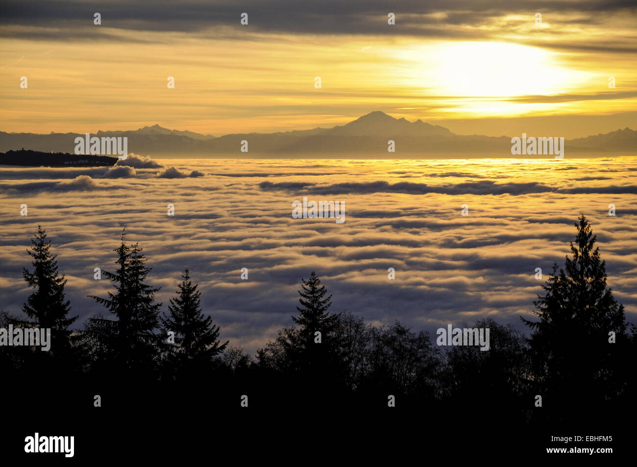 Only the mountains rise above the clouds during a temperature inversion, from Cypress Provincial Park, W. Vancouver, British Col Stock Photo