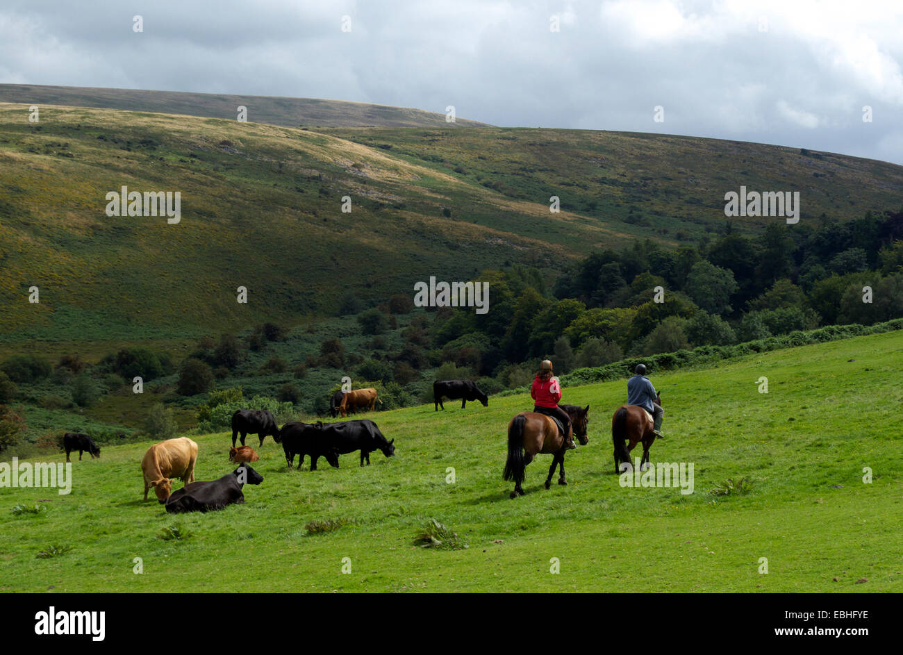 Horse-riders near Belstone, Dartmoor, Devon, England, UK. Stock Photo