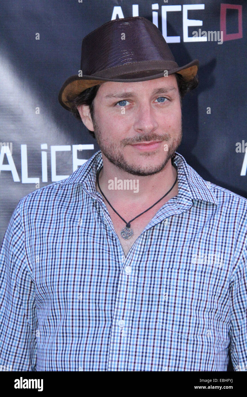 'Alice D' Los Angeles Premiere - Arrivals  Featuring: Michael Reed Where: Los Angeles, California, United States When: 28 May 2014 Stock Photo