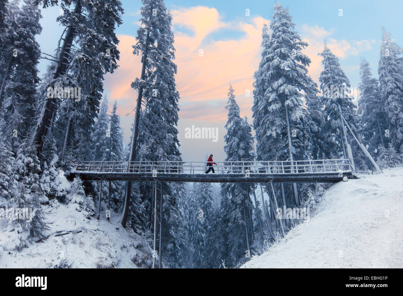 Bridge over the snowy mountains surrounded by pines Stock Photo